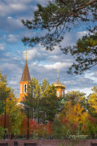 ����������� �����������